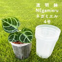 ネガミエル 4号 3個セット 5個セット 10個セット 透明スリット鉢 NEgamieru 浅岡園芸 プラスチック クリア 透明 スリット 根が見える 鉢 観葉植物