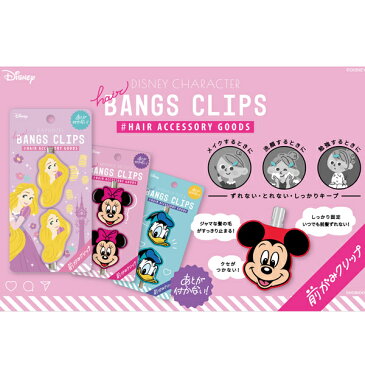 ネコポス可 プリンセス 前髪クリップ 2個セット ディズニー ヘアピン ヘアクリップ メイク 便利グッズ かわいい ヘアー アクセサリー 女の子 あす楽