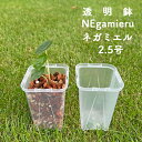 ネガミエル 2.5号 5個セット 20個セット 透明スリット鉢 NEgamieru 浅岡園芸 プラスチック クリア 透明 スリット 根が見える 鉢 観葉植物