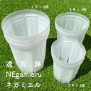 ネガミエル 5号鉢 6号鉢 7号鉢 7点セット 浅岡園芸 透明スリット鉢 NEgamieru プラスチック クリア 透明 根が見える 鉢 観葉植物