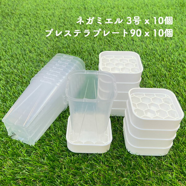 ネガミエル3号 プレステラプレート90 各10点セット 透明 プラスチック クリア スリット ロング スクエア 鉢 鉢皿