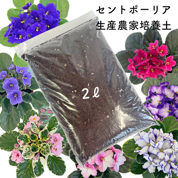 ⭐︎専用⭐︎オリジナルセントポーリア用土 楽天市場】セントポーリア 用土の通販