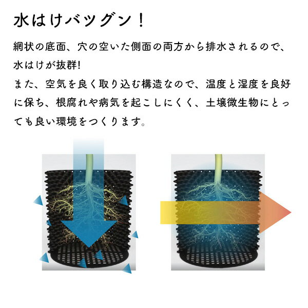 ルートプラスポットミニ 3L 5号サイズ 植木鉢 通気性 排水性 プラスチック 鉢 南榮...