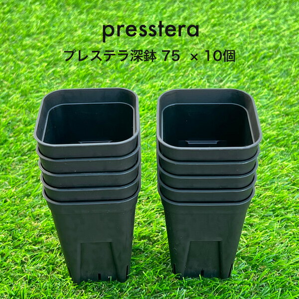 プレステラ深鉢75 ブラック 10鉢セット presstera ロングスリット鉢 スクエア型 硬...