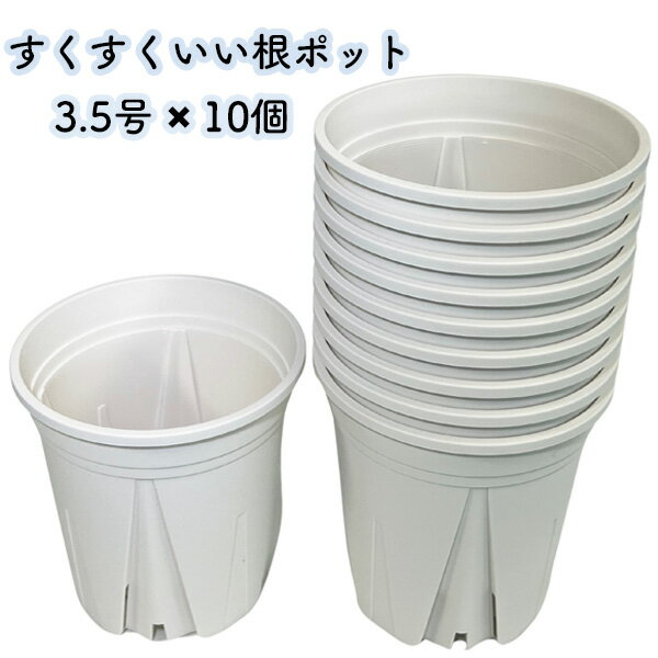 すくすくいい根ポット 3.5号 ホワイト 10個セット スリット鉢 日本製 白 プラ鉢 観葉植物 プラスチック 三晃物産 蘭 塊根植物 アガベ 多肉植物 果樹苗 野菜苗 ハーブ インナーポット