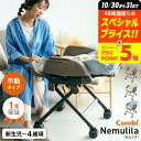 【ポイント超トク祭り】コンビ(Combi) ネムリラ Fit AQ 送料無料 / 出産祝い ベビーラ ...