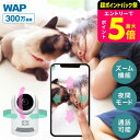 見守りカメラ 赤ちゃん 塚本無線