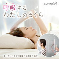 【公式】EsmeraldAエスメラルダシンデレラタイムを作り出す枕パーソナルムーブ呼吸する大人枕ストレートネックスマホ首いびき日本製パイプ洗える仰向け横向き寝