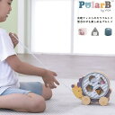 プルトイ 動画あり【Polar B ポーラービー】ソーティングプルトイ はりねずみ 赤ちゃん ベビー 知育玩具 木製玩具 木のおもちゃ 積み木 天然木 北欧 プルトイ 出産祝い 内祝い 誕生日 お祝い プレゼント ギフト イベント