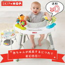 値下げしました【送料無料・代引手数料無料】スキップホップ(SKIP HOP) EXPLORE＆MORE ベイビービュー3ステージアクティビティセンター グレー シルバークラウド 出産祝い プレイマット おもちゃ 歩行器 赤ちゃん 遊具