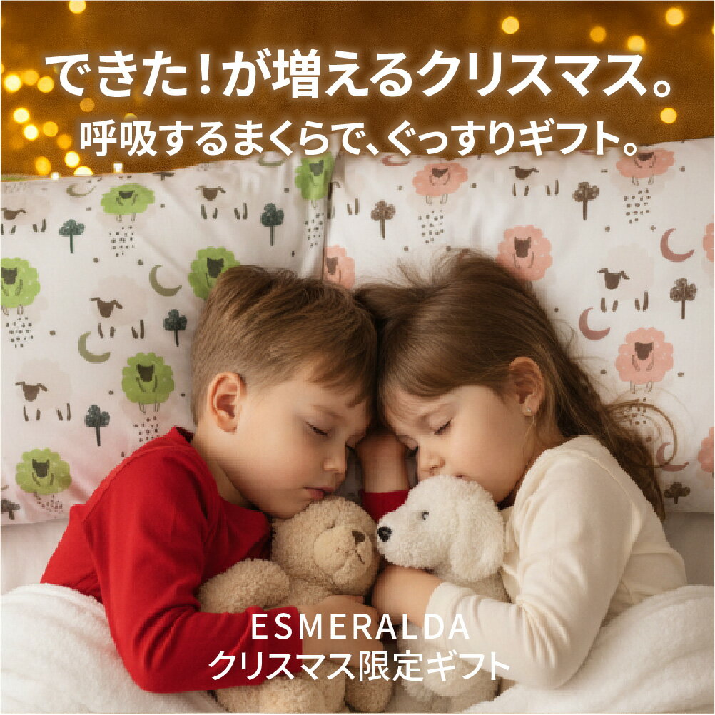 EsmeraldA エスメラルダ丸ごと洗える インサート式ドーナツまくら ベビー枕 日本製赤ちゃん まくら 枕 ベビー枕 ベビーピロー【ギフト プレゼント 出産祝い 出産準備】向き癖 おしゃれ かわいい インスタ映え 丸い頭 丸洗いOK【睡眠美容研究所】