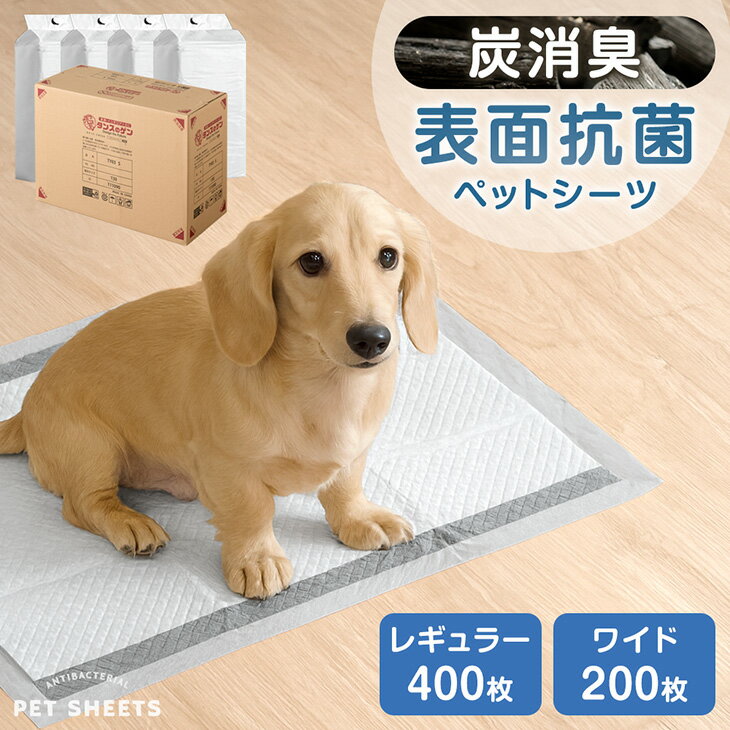 《当店だけの表面抗菌》白い炭消臭ペ...