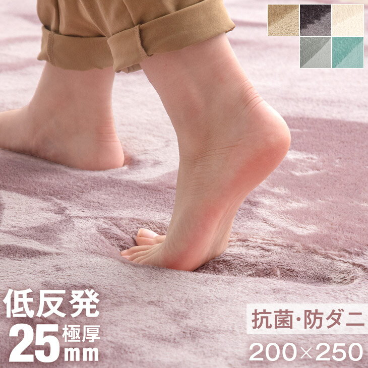 【20時~5%OFFクーポン】 低反発ラグ 防ダニ 200×250 3畳 極厚25mm 床暖房 ホットカーペット対応 ラグ 厚手 滑り止め付 オールシーズン 長方形 ラグマット マット ラグ カーペット フランネル マイクロファイバー 北欧 低反発 20mm 【後払い不可】