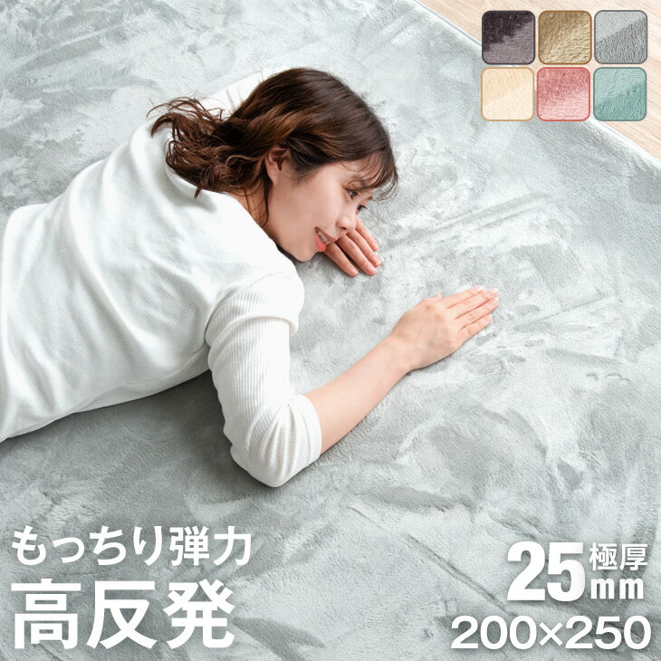 【20時~5%OFFクーポン】 防音＆クッション性UP 高反発ラグ 極厚25mm フランネル ラグ 200×250 防音 滑り止め付 マイクロファイバー 床暖房 ホットカーペット対応 ラグマット カーペット 長方形 絨毯 高反発 ホットカーペットカバー