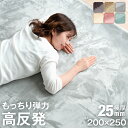  防音＆クッション性UP 高反発ラグ 極厚25mm フランネル ラグ 200×250 防音 滑り止め付 マイクロファイバー 床暖房 ホットカーペット対応 ラグマット カーペット 長方形 絨毯 高反発 ホットカーペットカバー