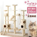 猫ちゃん喜ぶ全面麻ひも！ ワイドサイズ キャットタワー 210cm 据え置き 猫タワー 置き型 爪研ぎ 麻紐 ねこ 猫 ネコ つめとぎ ハンモック ワイド キャットハウス 多頭 多頭飼い おしゃれ 爪とぎ おもちゃ ハウス アイボリー