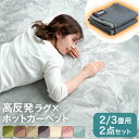 【20時~クーポン5%引】 ラグ+ホットカーペット2点セット 2畳 / 3畳用 極厚2.5cm 高反発 ラグ 185×185cm 200×250cm ホットカー...
