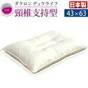 日本製 枕 ダクロン デュラライフ 頚椎支持型 洗える 43×63 水...(3)