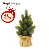 ĥȥĥ꡼ 30cm 2023ǯ RSХȥ졼 RS GLOBAL TRADE ߥ˥ĥ꡼ SCHWARZWALD TREEڢ̳ƻڤΥб