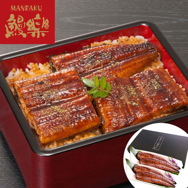 【最大5000円OFFクーポン+ポイント5倍!20日まで!】 鰻楽 九州産 うなぎ蒲焼 4尾 計560g ご進物 ギフト 贈り物に 離島配送不可