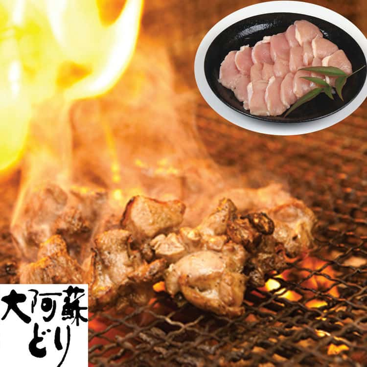 熊本 大阿蘇どり 焼肉 B ムネ700g 阿蘇の雄大な大自然の恵みをうけた熊本で 大切に育てられた大阿蘇どり 飼料にもこだわり育て上げた銘柄鶏 低脂肪・低カロリーの肉を焼鳥でどうぞ お歳暮 お中元 ご進物 ギフト 贈り物に最適 ※離島は配送不可