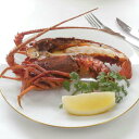 【ポイント5倍! 3日まで!】 徳島 吟月 天然冷凍伊勢海老 2尾 計240g プリプリとした身は 天ぷら 鍋などでお召し上がりいただき 残りの頭や殻は 味噌汁の具としてあますことなくお召しあがりいただけます ご進物 ギフト