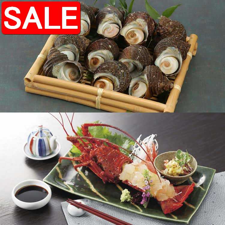 【スーパーSALE 10%OFF!】 徳島 天然伊勢海老と天然サザエ詰合せ 伊勢海老1尾 120g〜150g サザエ1kg 加熱調理で様々な料理にお使い頂けます...