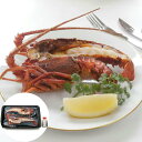 【ポイント5倍! 3日まで!】 徳島 吟月 伊勢海老ステーキ C 1尾ハーフカット2切 原料180g~230g 伊勢海老をダイナミックにステーキ風に仕上げました 特製ソースをかけてお召し上がりください ご進物 ギフト 贈り物に