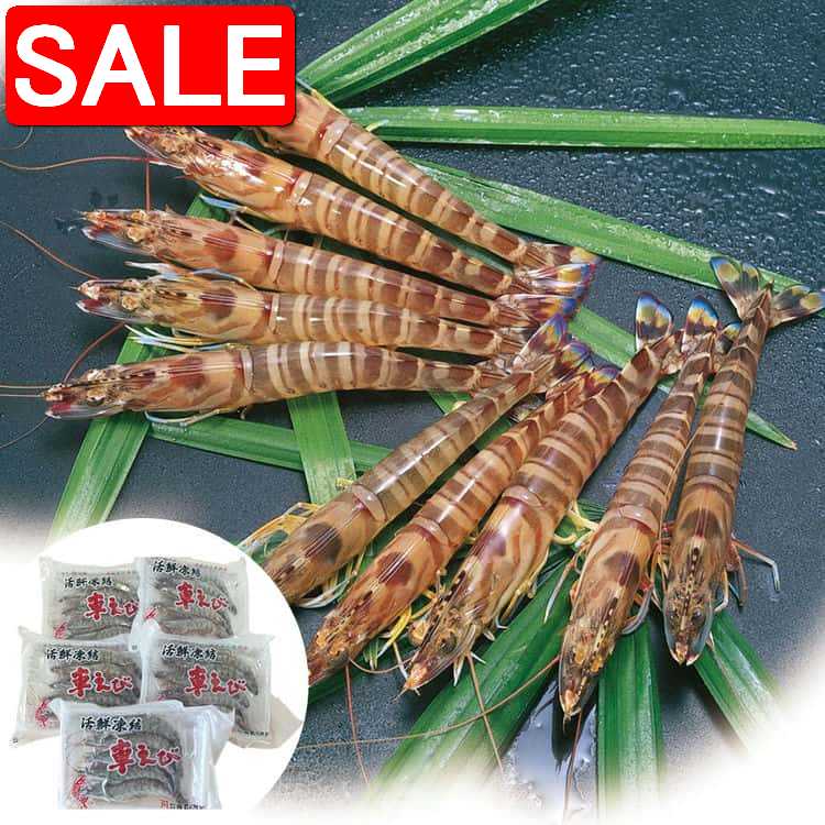 楽天Baby・Sies（ベイビー・シーズ）【スーパーSALE 10％OFF！】 熊本 沖縄 活鮮凍結 活き〆冷凍車海老 C 車海老x5パック 1パックに 5尾 計約100g入 流水解凍すれば 冷凍前の活き物と同じ身質 鮮度で調理 おめしあがりできます ご進物 ギフト 贈り物に