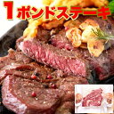 牛 肩ロース 熟成肉 1ポンド ステーキ 450g 超特大 通常のステーキ3枚分 手土産 プレゼント ご進物 ギフト 贈り物に NK00000083