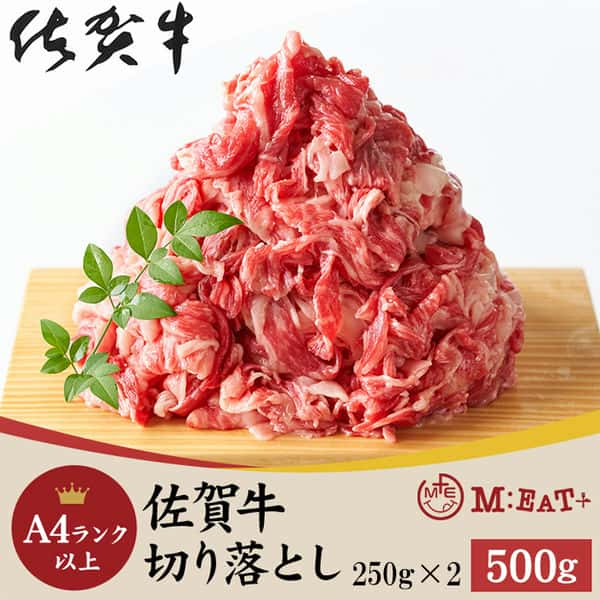 ꋍ A4Nȏ ؂藎Ƃ 500g uh ̌ȑ~肪II Ε  i Mtg 蕨ɍœK ̔蒼 NK00000127