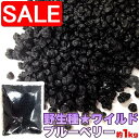【スーパーSALE 10%OFF!】 ドライ ワイルド ブルーベリー 大容量 1kg 野生種 手土産 プレゼント ご進物 ギフト 贈り物に SM00010048
