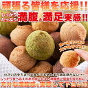 【ポイント5倍!30日限り!】 新感覚満腹 おから 豆乳 ソフトクッキー 1kg ほろっと柔らか☆ヘルシー&DIET応援 手土産 プレゼント ご進物 ギフト 贈り物に 販売元より直送 SM00010053