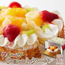 【ポイント5倍!最大1500円OFFクーポン 5/6まで】 冷凍 フルーツ ショート ケーキ 5号 色とりどりのフルーツをたっぷりトッピング 手土産 プレゼント ご進物 ギフト 贈り物に SM00010771(4)