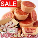 【スーパーSALE 10%OFF!】 いちごタルト22個 栃木県産 とちおとめ 100%使用 甘酸っぱい風味がお口に広がる 手土産 プレゼント ご進物 ギフト ...