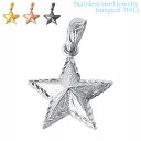 ハワイアンジュエリー サージカル ステンレス アクセサリー 316L スター ペンダント チェーン別売り レディース メンズ 星 金属アレルギーフリー 記念日 ...