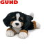 GUND  ̤  ɥå Сˡޥƥ     Dog ͵ ֥ ե ꥹޥ £ʪ ץ쥼Ȥ˺Ŭ оǯ 6Ͱʾ 6048551