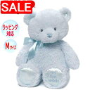 【スーパーSALE 10%OFF!】 GUND ガンド ぬいぐるみ マイ 1st テディーベア テディベア くま くまの ベアー Teddy Bear ブルー M リボン 人気 ブランド ギフト 贈り物 プレゼントに 対象年齢 0才~ 6048624