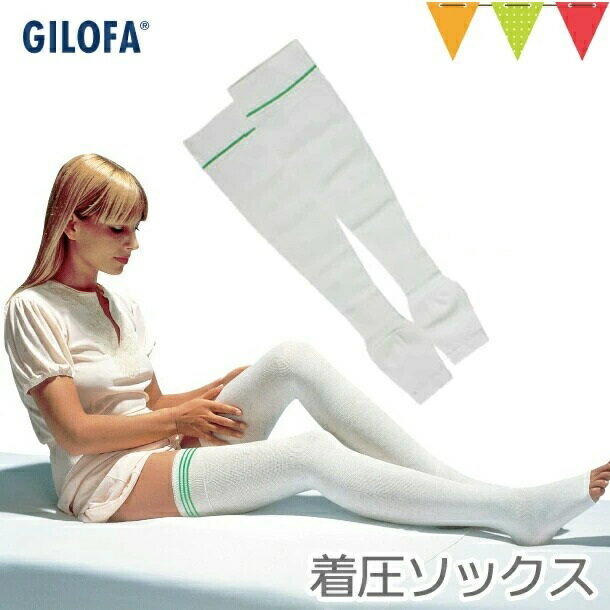 ギロファコンプレッソフィクスサポー...