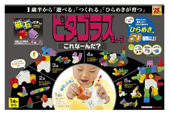 【送料無料】ピタゴラスキューブ　これなーんだ？