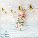 【 Coco Moon ココムーン キルト Peeking Palms】国内正規販売店 ブランケット ハワイ アロハテイストLOVE + WATER コラボレーション バンブーモスリン 赤ちゃん ベビー 男の子 女の子 おでかけ ベビーギフト 出産祝い