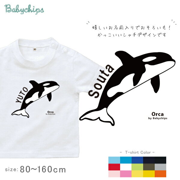 名入れ 名前入 半袖 Tシャツ シャチ [ シャチ ] 水族館 さめ 鮫 サメ いるか イルカ プレゼント こども服 キッズ ジュニア ベビー おそろい 兄弟 姉妹 リンク T お出掛け 帰省 旅行 出産祝い パパ ママ ファーストバースデー お誕生日 ドライ 速乾 st std