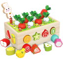 木のおもちゃ ニンジン パズル モンテッソーリ玩具 知育玩具 人気 指先レッスンボックス はめこみ 形合わせ 木製おもちゃ 男の子 女の子 農場ニンジン抜き・磁...