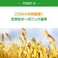 【公式】【送料無料】アロベビーオーガニックベビーグッズ赤ちゃん用ベビーソープ(ALOBABY)