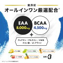 EAA サプリ 筋トレ 【公式】アンビーク / AMBIQUE 送料無料 国産 必須アミノ酸 レモン風味 マスカット風味 BCAA HMB 脂質ゼロ 無添加 プロテイン 高配合 クレアチン グルタミン プレワークアウト トレーニング ダイエット 男性 女性 2