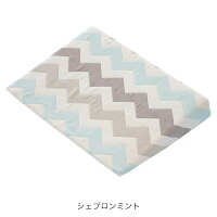 カラーシェブロンミント