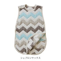 カラーシェブロンサックス