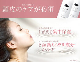 【公式】【送料無料】【ポイント10倍】シンスボーテオーガニックトリートメント(SINCEbeaute)【オーガニックトリートメント/ノンシリコン/抜け毛ケア】