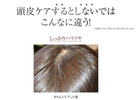 【公式】【送料無料】【ポイント10倍】シンスボーテオーガニックトリートメント(SINCEbeaute)【オーガニックシャンプー/ノンシリコン/抜け毛ケア】