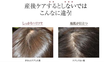 【公式】【送料無料】【ポイント10倍】シンスボーテオーガニックシャンプー(SINCEbeaute)【オーガニックシャンプー/ノンシリコン/抜け毛ケア】